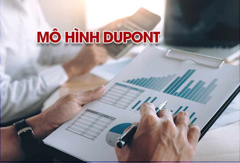Mô hình Dupont
