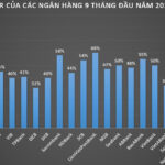 chỉ số CIR