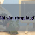 Tài sản ròng